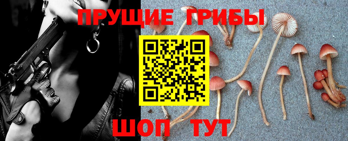 Галлюциногенные грибы MAGIC MUSHROOMS Нефтекумск