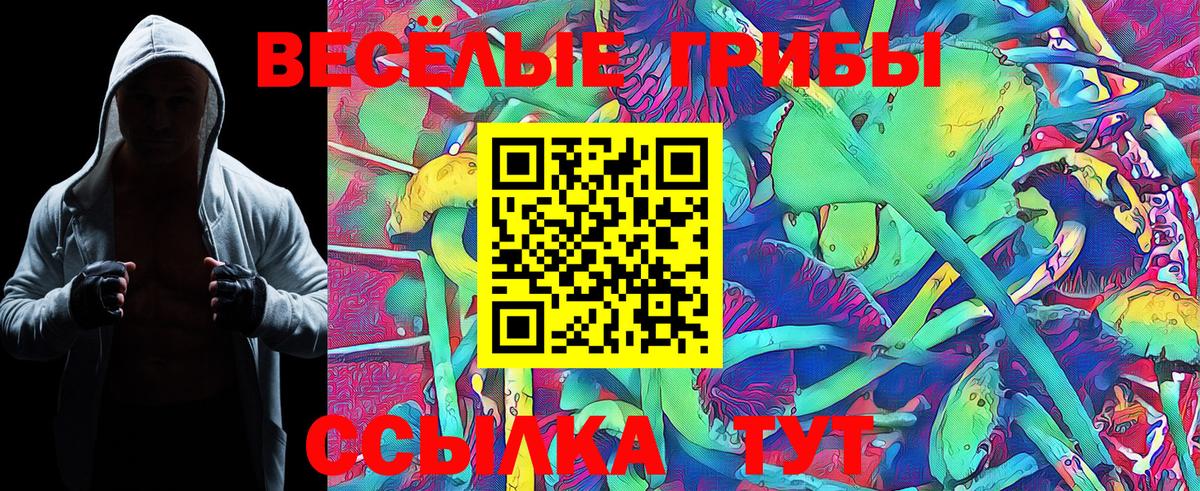 Нефтекумск  Галлюциногенные грибы Cubensis  Вход с VPN 